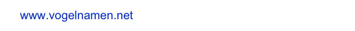     www.vogelnamen.net